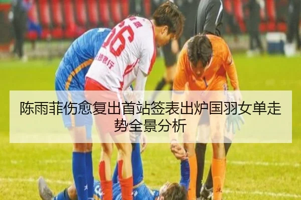 陈雨菲伤愈复出首站签表出炉国羽女单走势全景分析